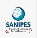 WhatsApp Image 2024-01-08 at 2.42.34 PM